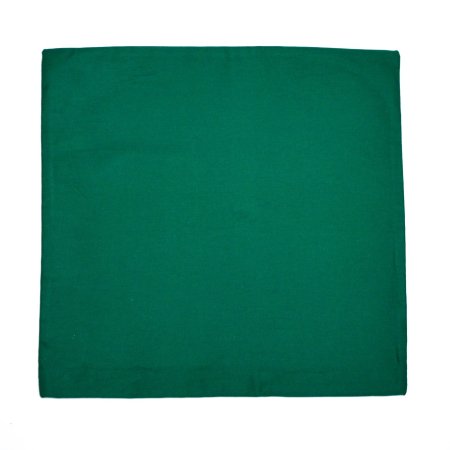 LKV Lomnice Povlak na polštářek zelený - 40 x 40 cm